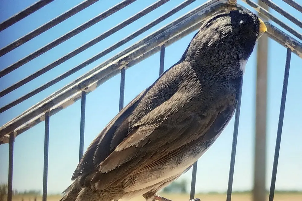 ECOOBJETIVO FOTO LAGUNA LARGA RESCATE FAUNA 130126 2