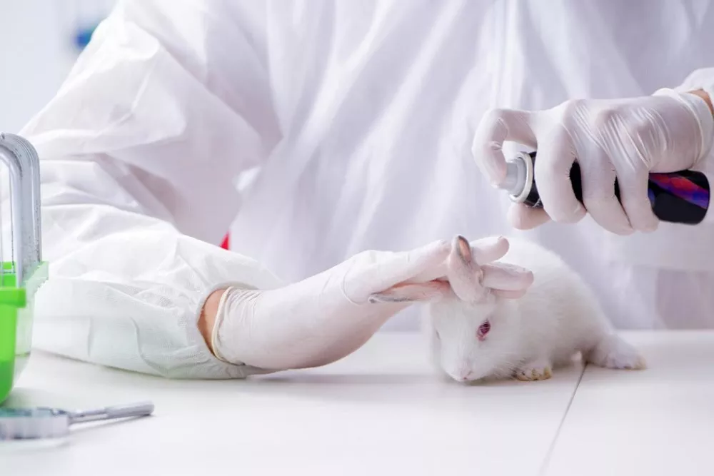 testeos-en-animales