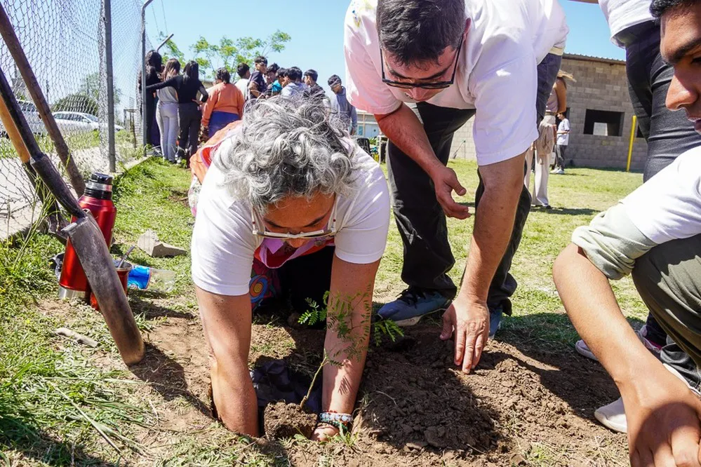 ECOOBJETIVO FOTO MALVINAS ARGENTINAS PLANTACION FLORA AUTOCTONA 1