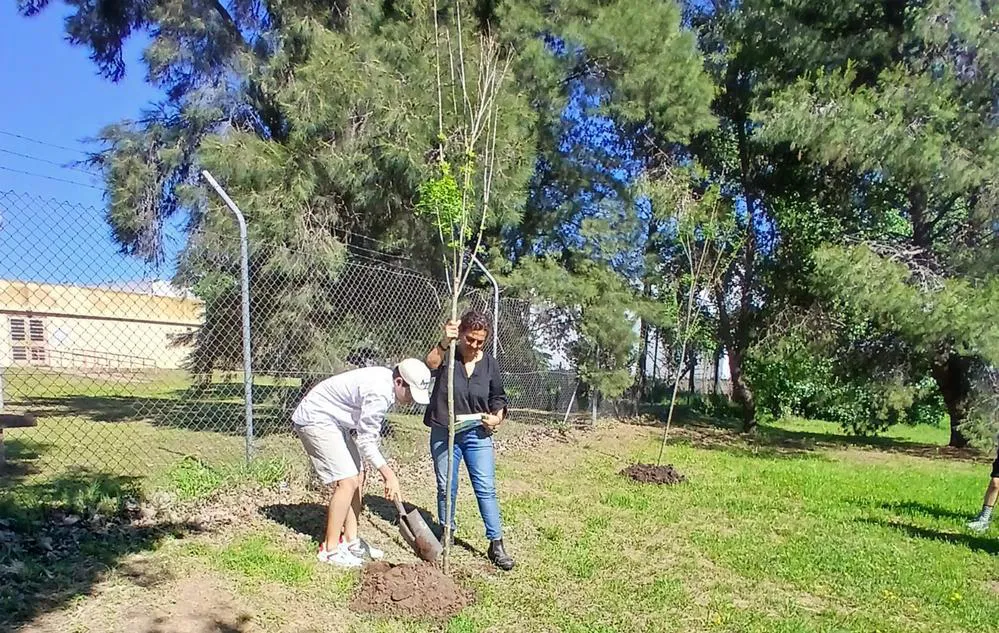 ECOOBJETIVO FOTO VILLA MARIA PLANTACION ARBOLES HOMENAJE DOCENTES
