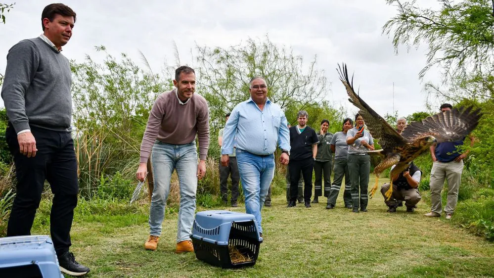 ECOOBJETIVO FOTO SANTA FE LIBERACION FAUNA SILVESTRE 1