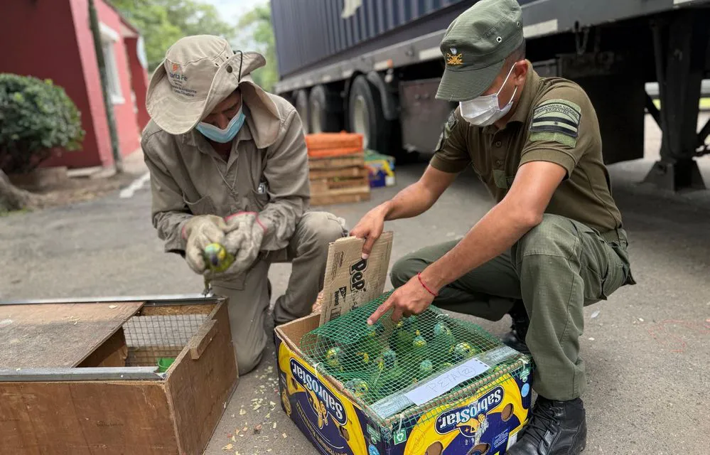 ECOOBJETIVO FOTO SANTA FE SECUESTRO FAUNA 180226 3