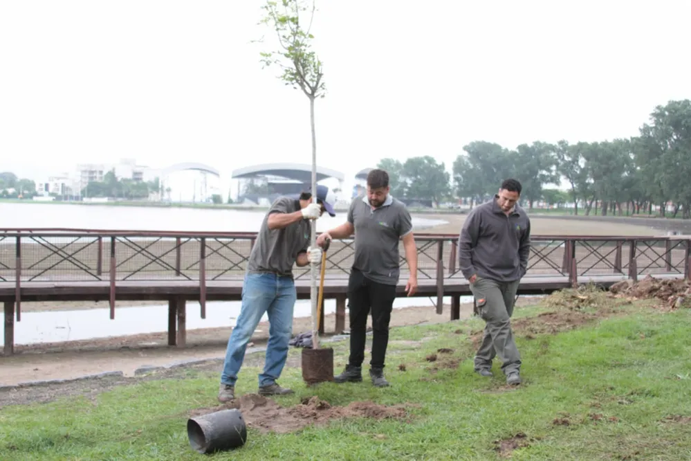 ECOOBJETIVO FOTO VILLA MARIA BOSQUES DE BOLSILLO 1