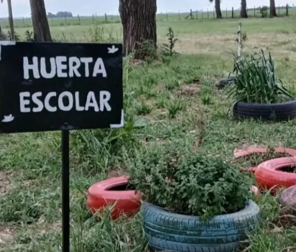 ECOOBJETIVO FOTO GUATIMOZIN ACCIONES AMBIENTE 12