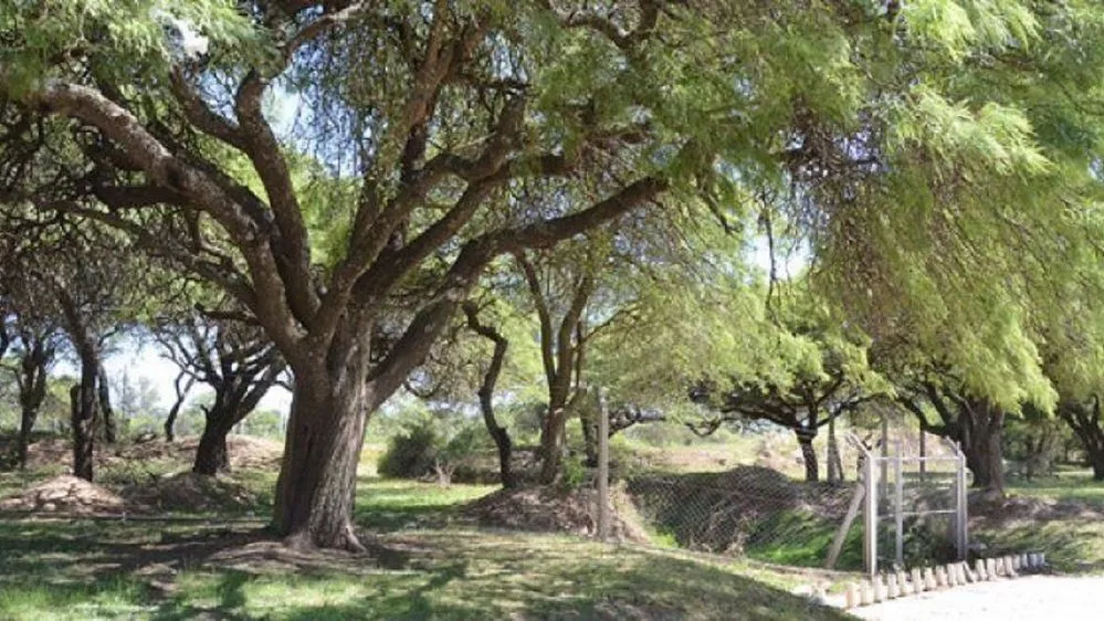 ECOOBJETIVO FOTO VILLA MARIA EL ALGARROBAL 1