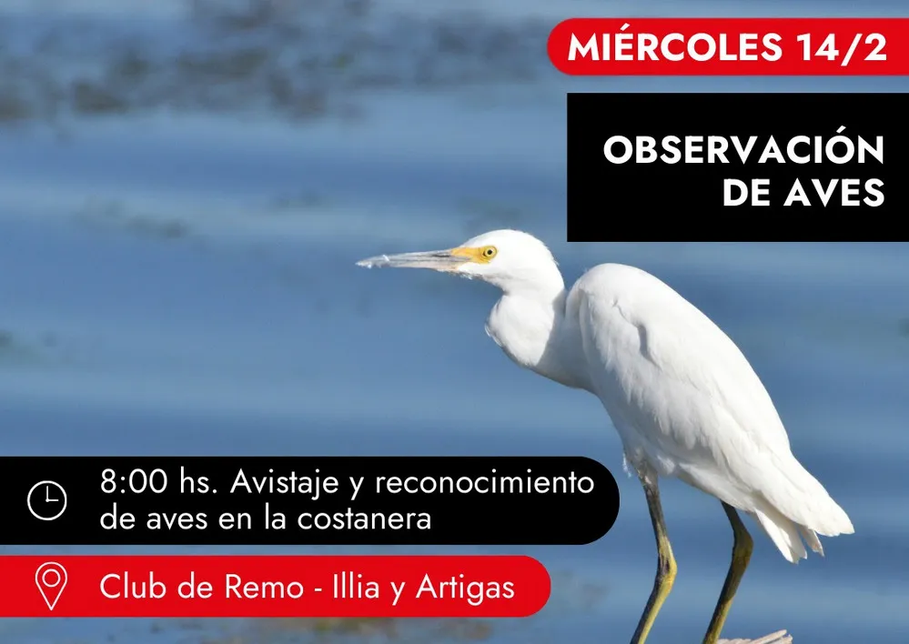 ECOOBJETIVO FOTO VILLA CARLOS PAZ AVISTAJE DE AVES