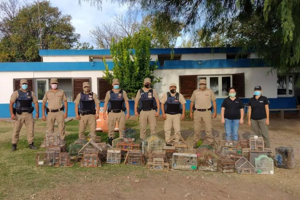 policia ambiental