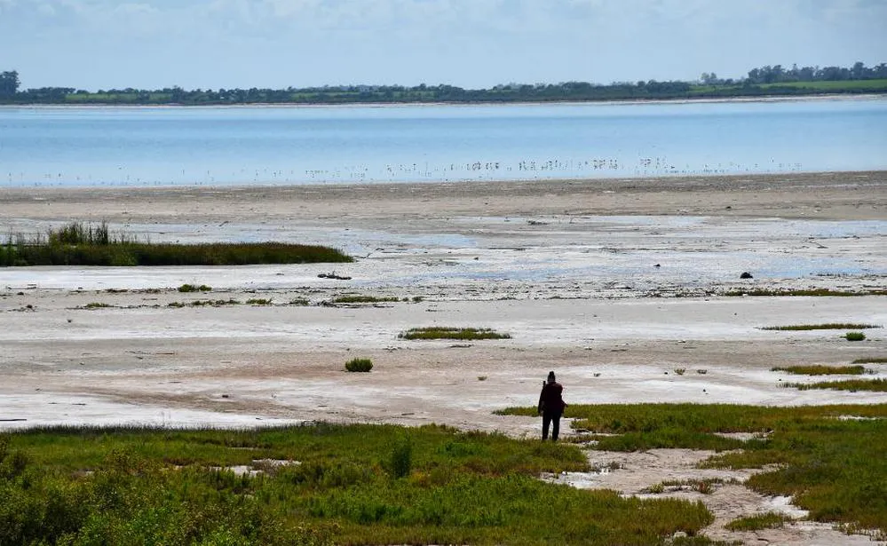 ECOOBJETIVO FOTO ANSENUZA TORI FLORES 2