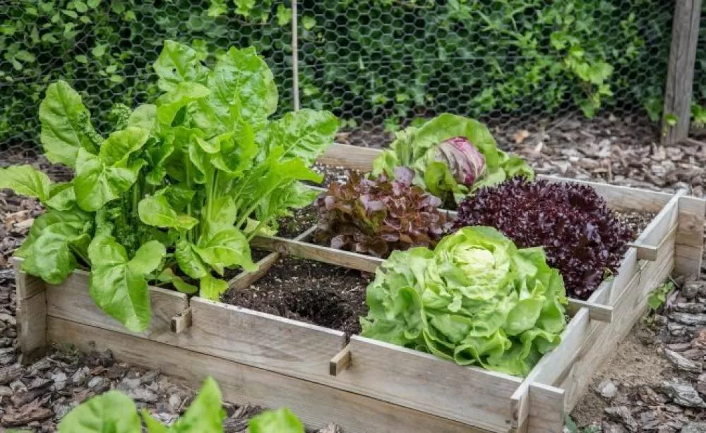 ECOOBJETIVO FOTO VILLA CARLOS PAZ ESCUELA AGROECOLOGIA 2