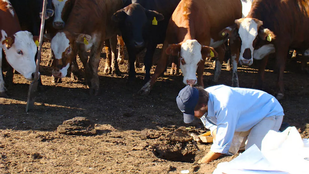 ECOOBJETIVO FOTO EFLUENTES FEEDLOT 1