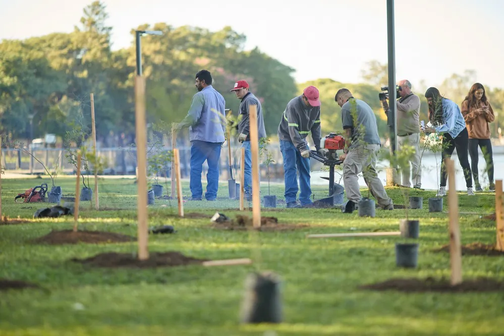 ECOOBJETIVO FOTO VILLA MARIA BOSQUE DE BOLSILLO COSTANERA 1