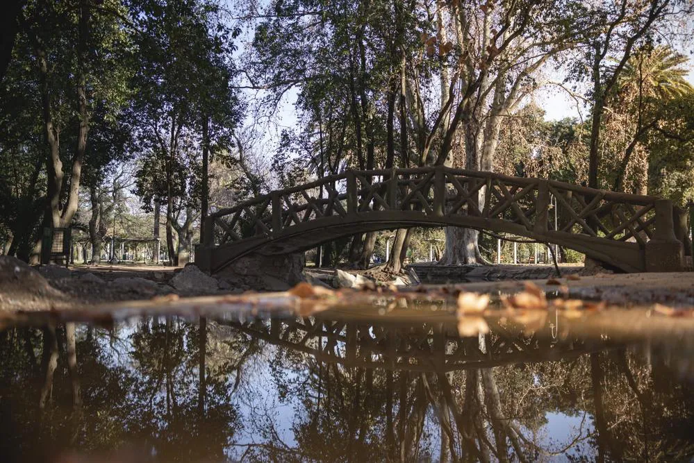 ECOOBJETIVO FOTO RIO CUARTO GANSOS RESCATADOS 3