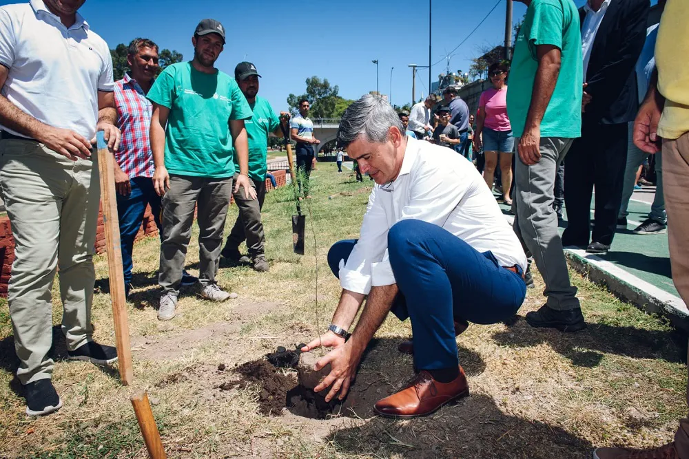 Passerini arbol ciudad sustentable