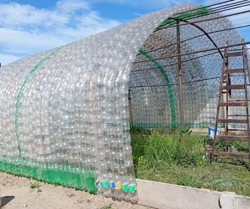 ECOOBJETIVO FOTO GUATIMOZIN ACCIONES AMBIENTE 3