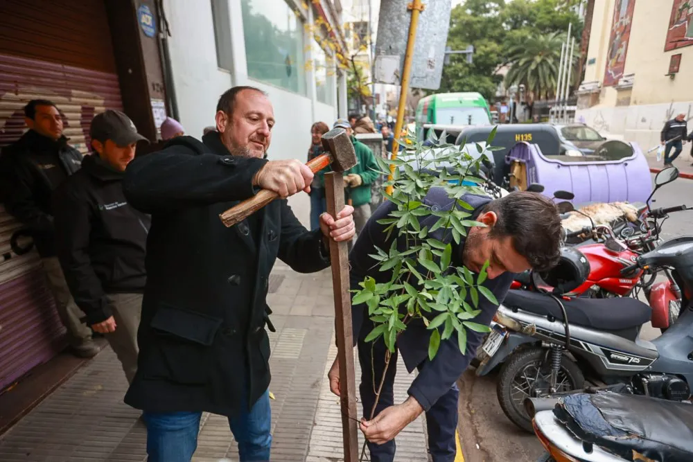 arboles centro de cordoba