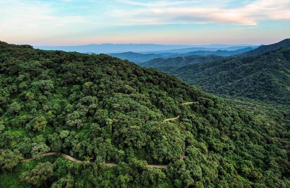 ECOOBJETIVO FOTO AVES ARGENTINAS APP KBA - Créditos_ Sergio Moya