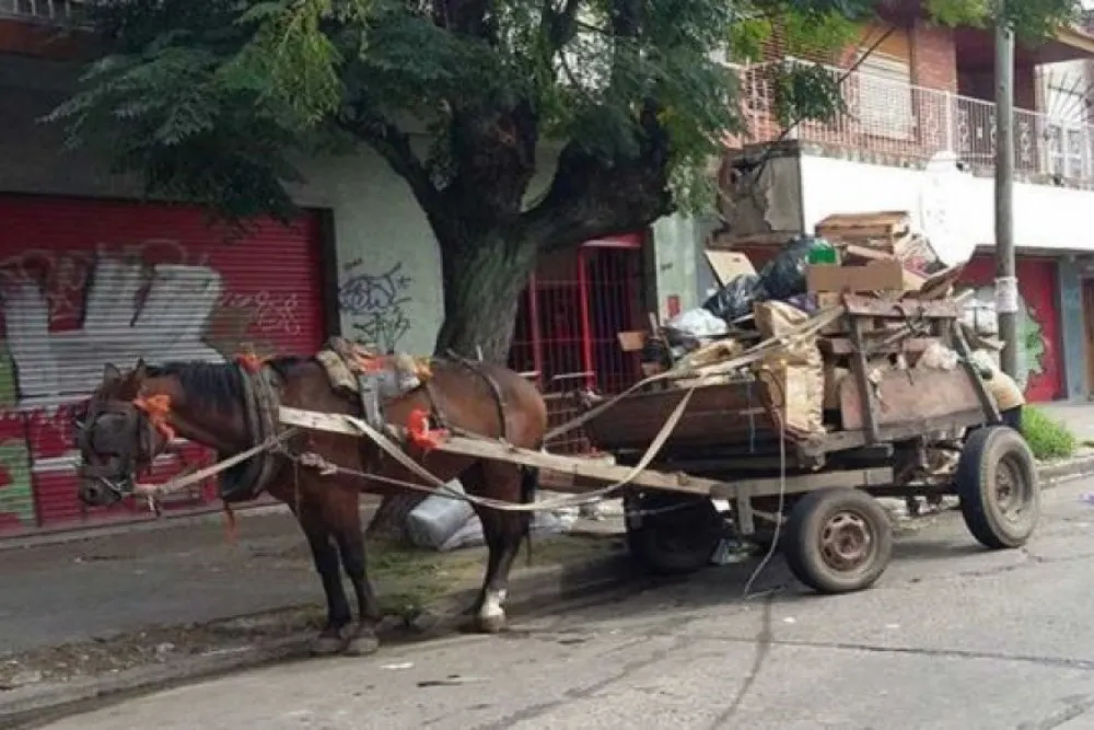 carro2