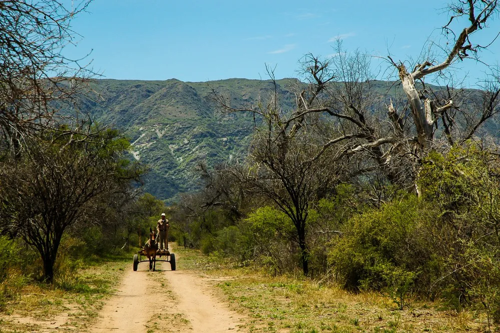 ECOOBJETIVO FOTO PROGRAMA PAGO POR SERVICIOS AMBIENTALES