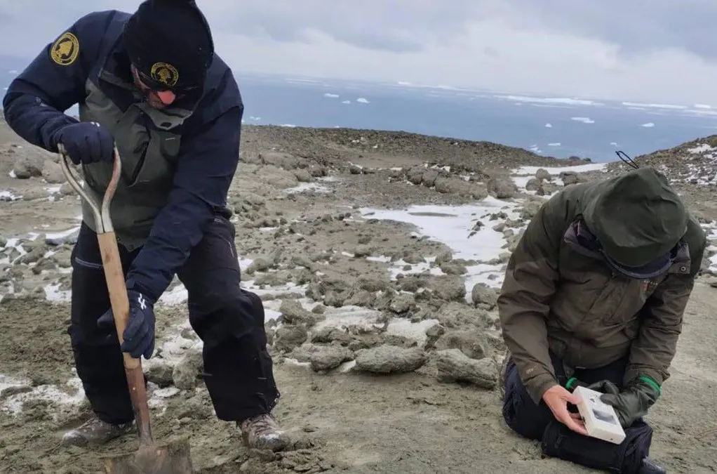 65dfa3205972a.gob.ar 3_1200