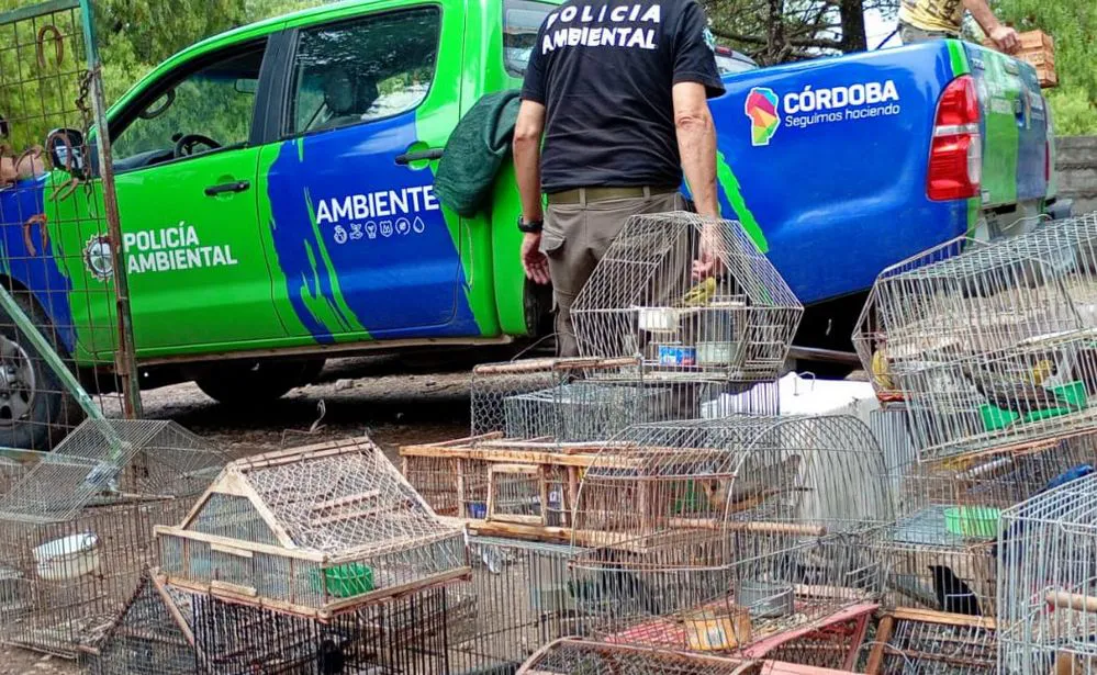 ECOOBJETIVO FOTO MALAGUEÑO POLICIA AMBIENTAL RESCATE 1