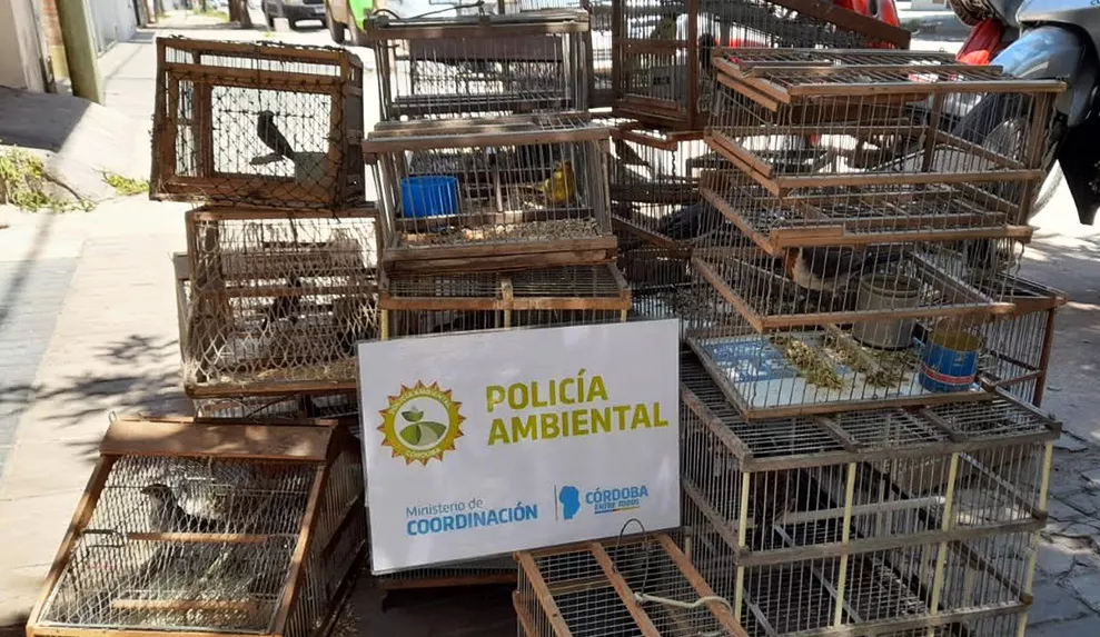 rescate de aves-villa-maria-policia-ambiental_01_ cba.gov.ar