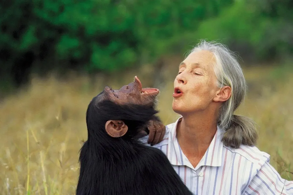 muere-jane-goodall