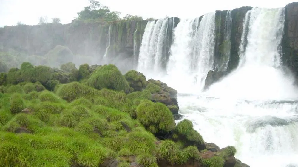 ECOOBJETIVO FOTO CATARATAS 4 pasto - destacada