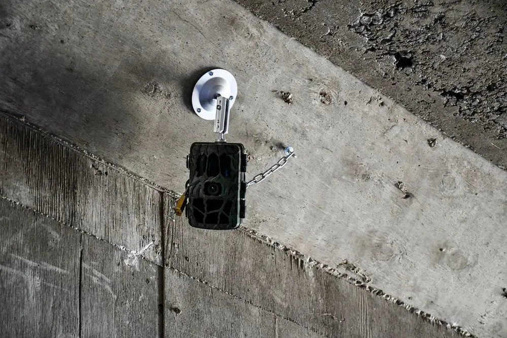 ECOOBJETIVO FOTO AMBIENTE CONTROL PASAFAUNA AUTOVIA PUNILLA 3