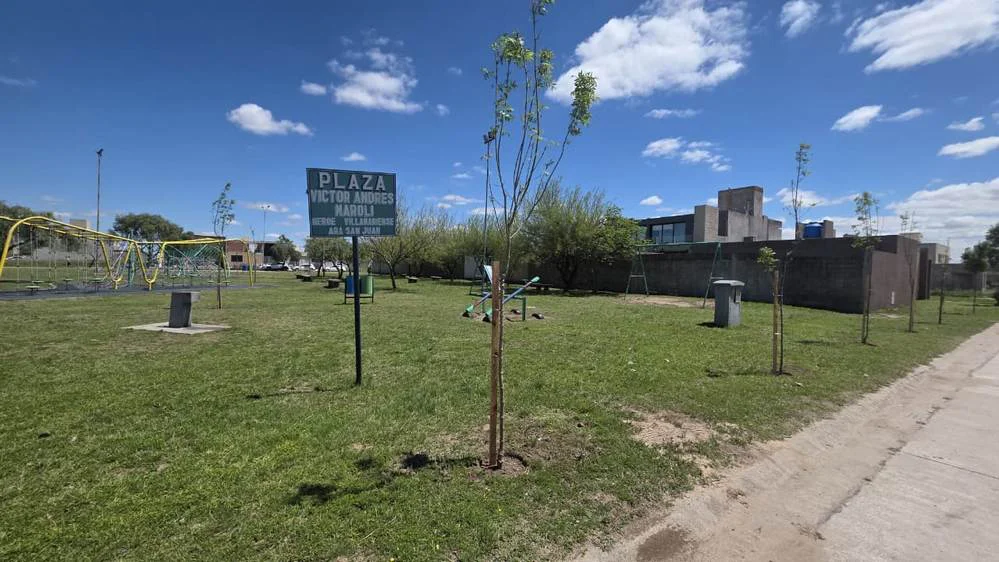 ECOOBJETIVO FOTO VILLA MARIA FORESTACION BARRIO CARRILLO
