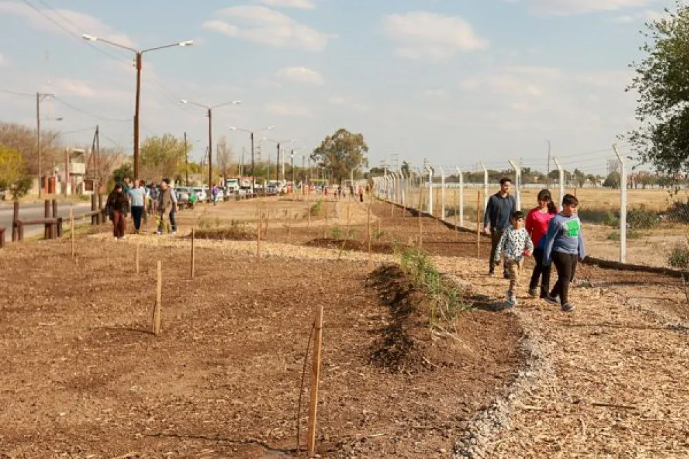 erradicacion basural
