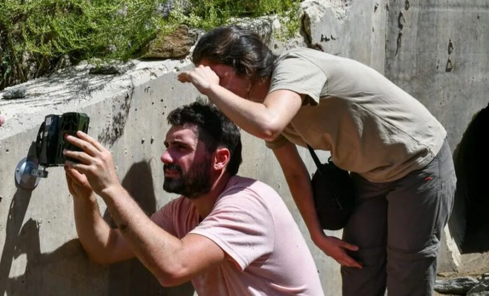 ECOOBJETIVO FOTO AMBIENTE CONTROL PASAFAUNA AUTOVIA PUNILLA 2