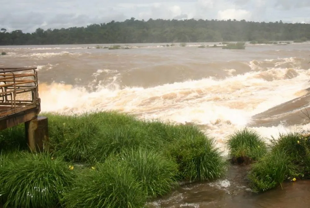 ECOOBJETIVO FOTO CATARATAS 1 pasto - garganta