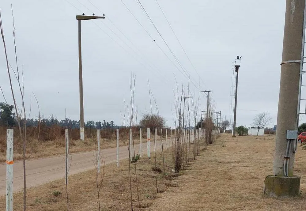 ECOOBJETIVO FOTO VILLA MARIA ARBOLADO BARRIOS 1