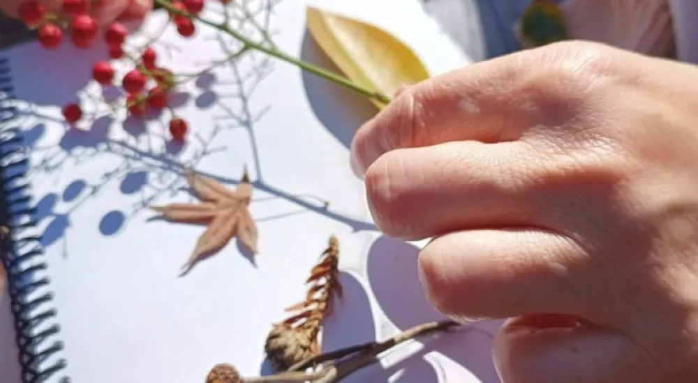 WhatsApp-Image-2024-01-04-at-16.55.28-800x400