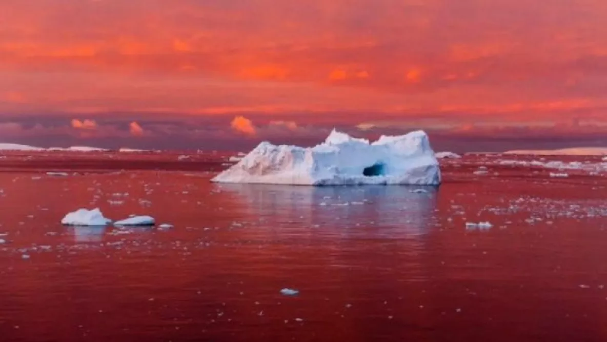 cambio climático deshielo calentamiento