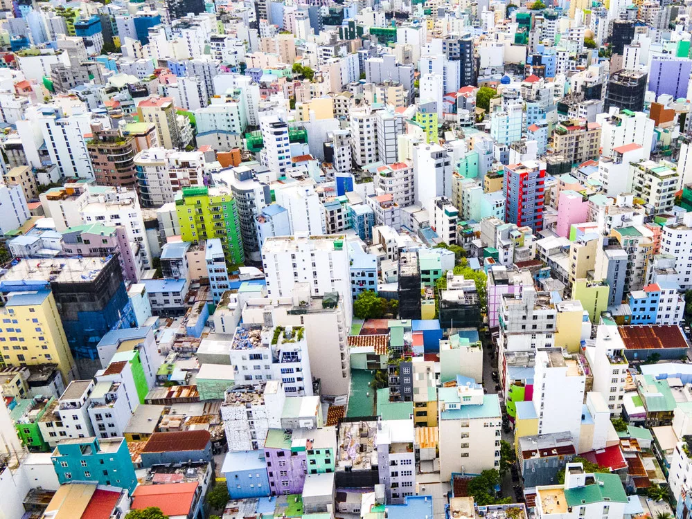 ECOOBJETIVO FOTO SERIE PREMIO EARTHSHOT 1