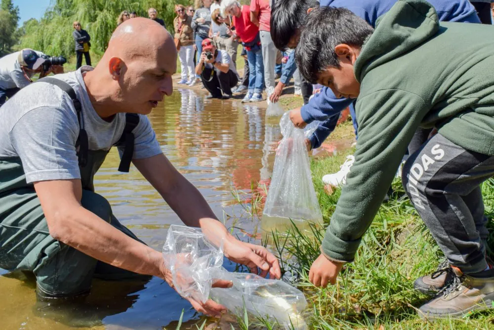 WhatsApp-Image-2024-03-09-at-17.20.00