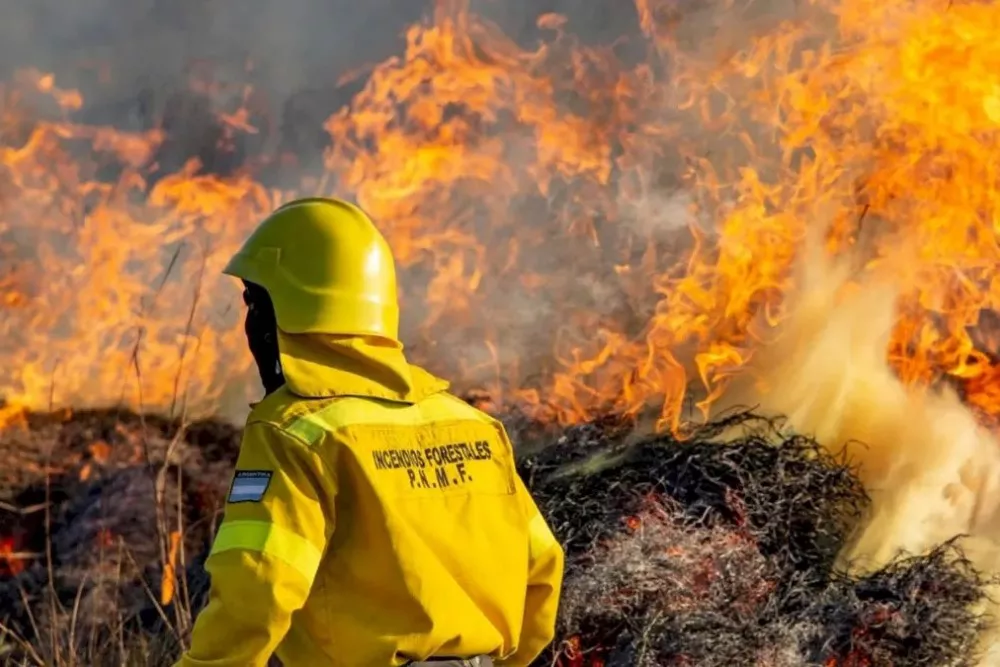 tierra-del-fuego-incendiosjpg