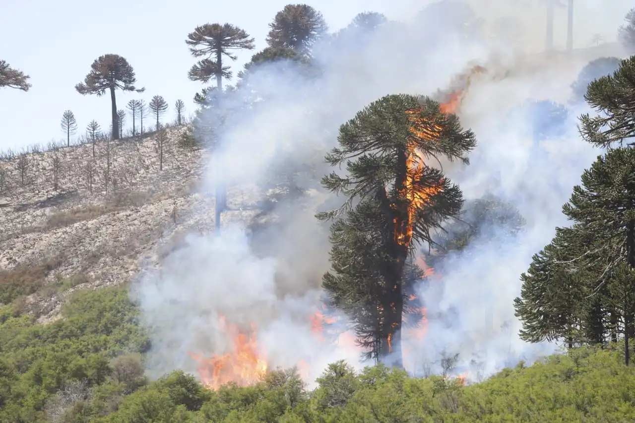 Incendio-alumine-27-12