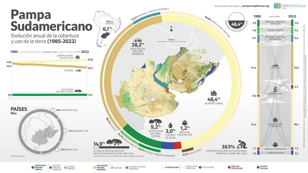 ECOOBJETIVO FOTO PASTIZALES SUDAMERICA mapbiomas-infografia