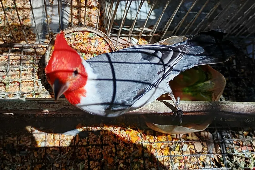 ECOOBJETIVO FOTO LAGUNA LARGA RESCATE FAUNA 130126 1