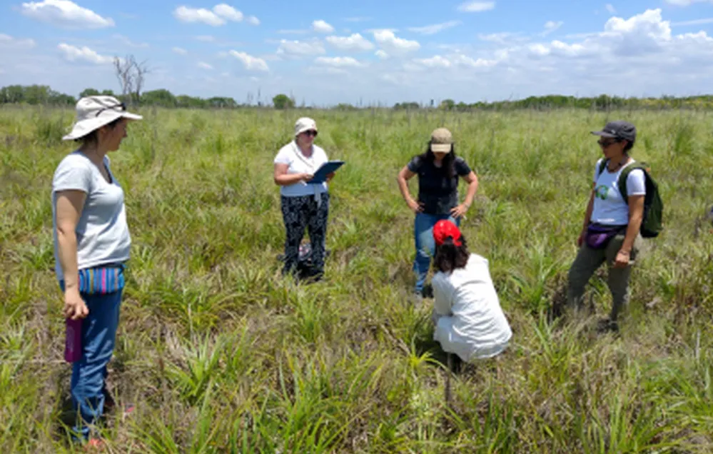 ECOOBJETIVO FOTO PASTIZALES AMBA 4 reservas-Defensa del Palomar (foto N Franco)