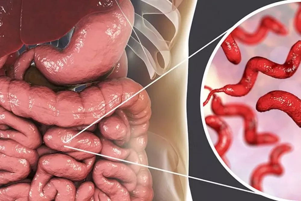 parasitos-intestinales