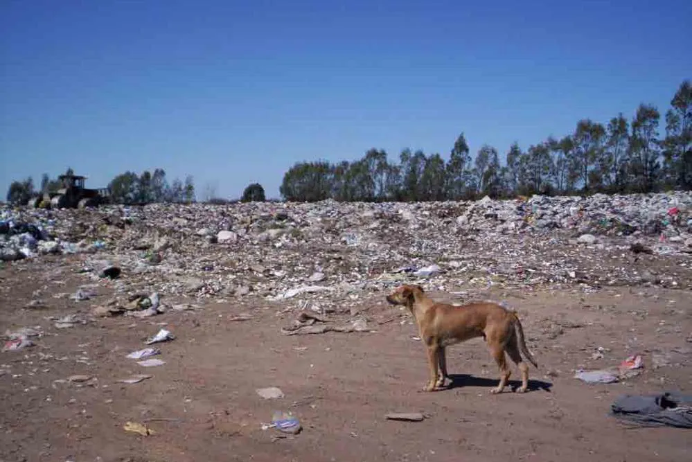 FOTO BASURAL A CIELO ABIERTO 2