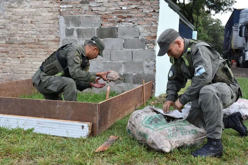 ECOOBJETIVO FOTO SANTA FE SECUESTRO FAUNA 180226 1
