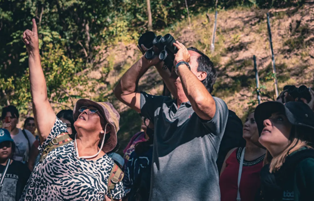 avistaje_de_aves_2-800x400