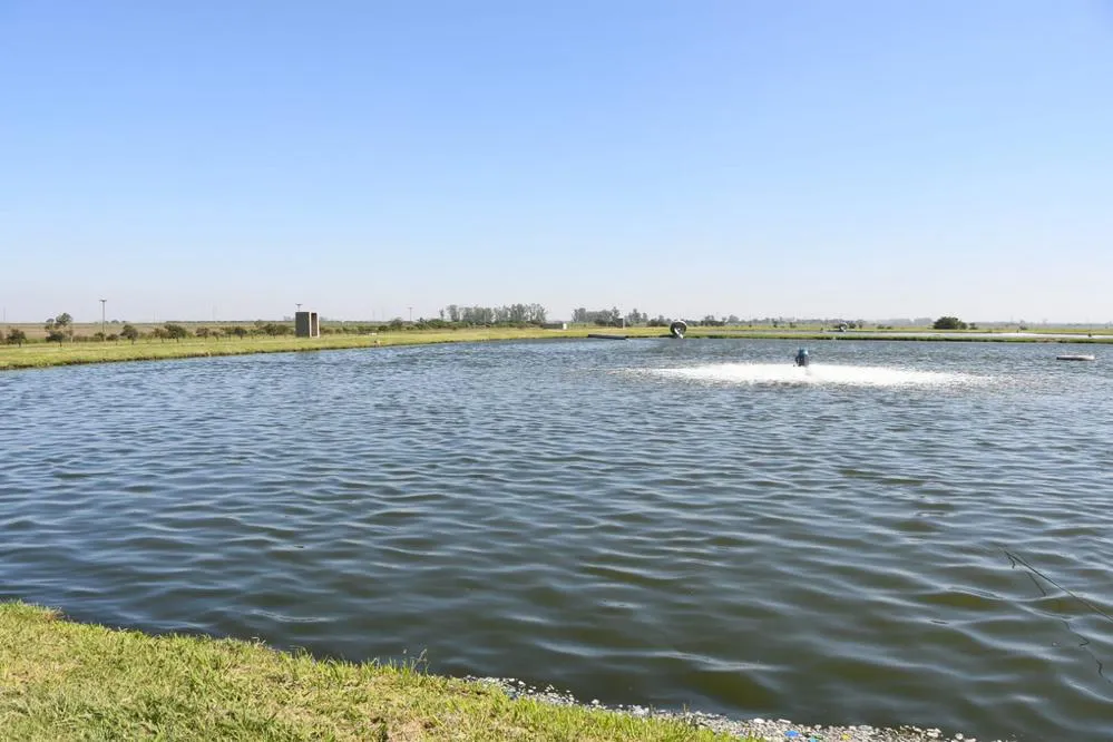 ECOOBJETIVO FOTO SAN FRANCISCO EDAR EFLUENTES CLOACALES 2