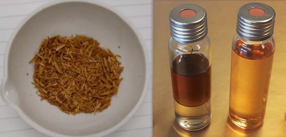 ECOOBJETIVO FOTO BIOCARBONES BIOACEITES 3