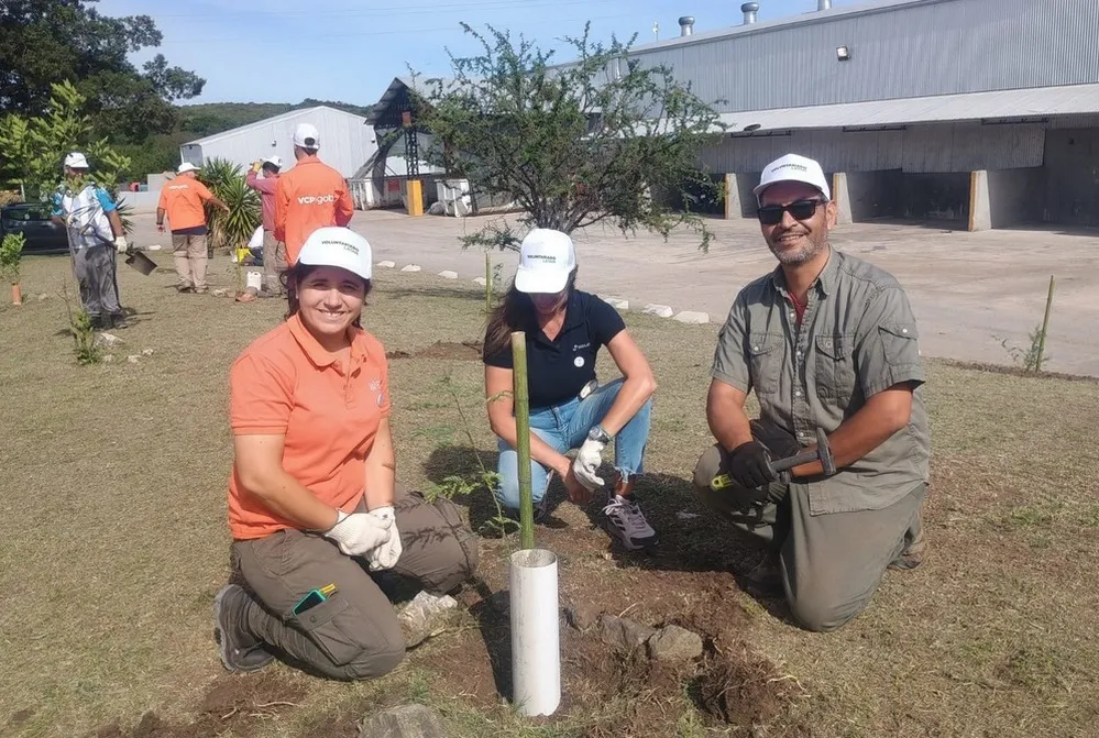 ECOOBJETIVO FOTO VILLA CARLOS PAZ FORESTACION DICIEMBRE 2