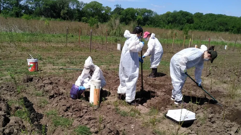 ECOOBJETIVO FOTO BIOSOLIDOS biosólidos-destacada